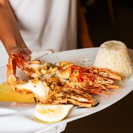 CasaQuinta202509_as-39